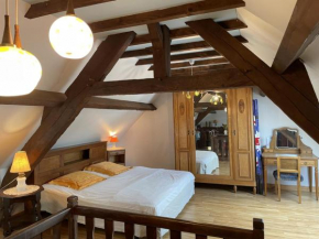 Charmante maison familiale avec cour fermée, proche randonnées et sites naturels - FR-1-489-277